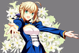 Saber from Fate Stay Knight anime, Fate Series, Saber, Fate/Stay Night