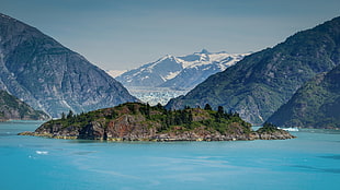 green trees, island, sea, nature, mountains