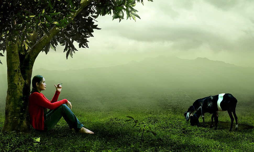 woman in red shirt and blue jeans sitting beside tree with two black horse eating grass HD wallpaper