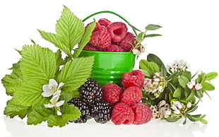 raspberry and berries in green bucket HD wallpaper