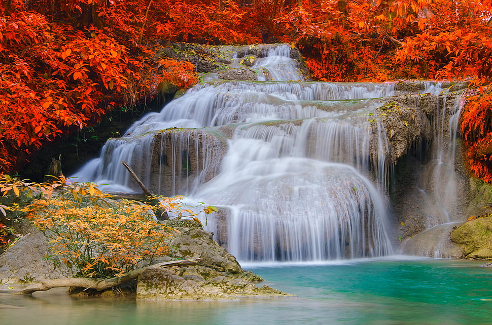 time lapse of waterfalls between brown leaf trees HD wallpaper