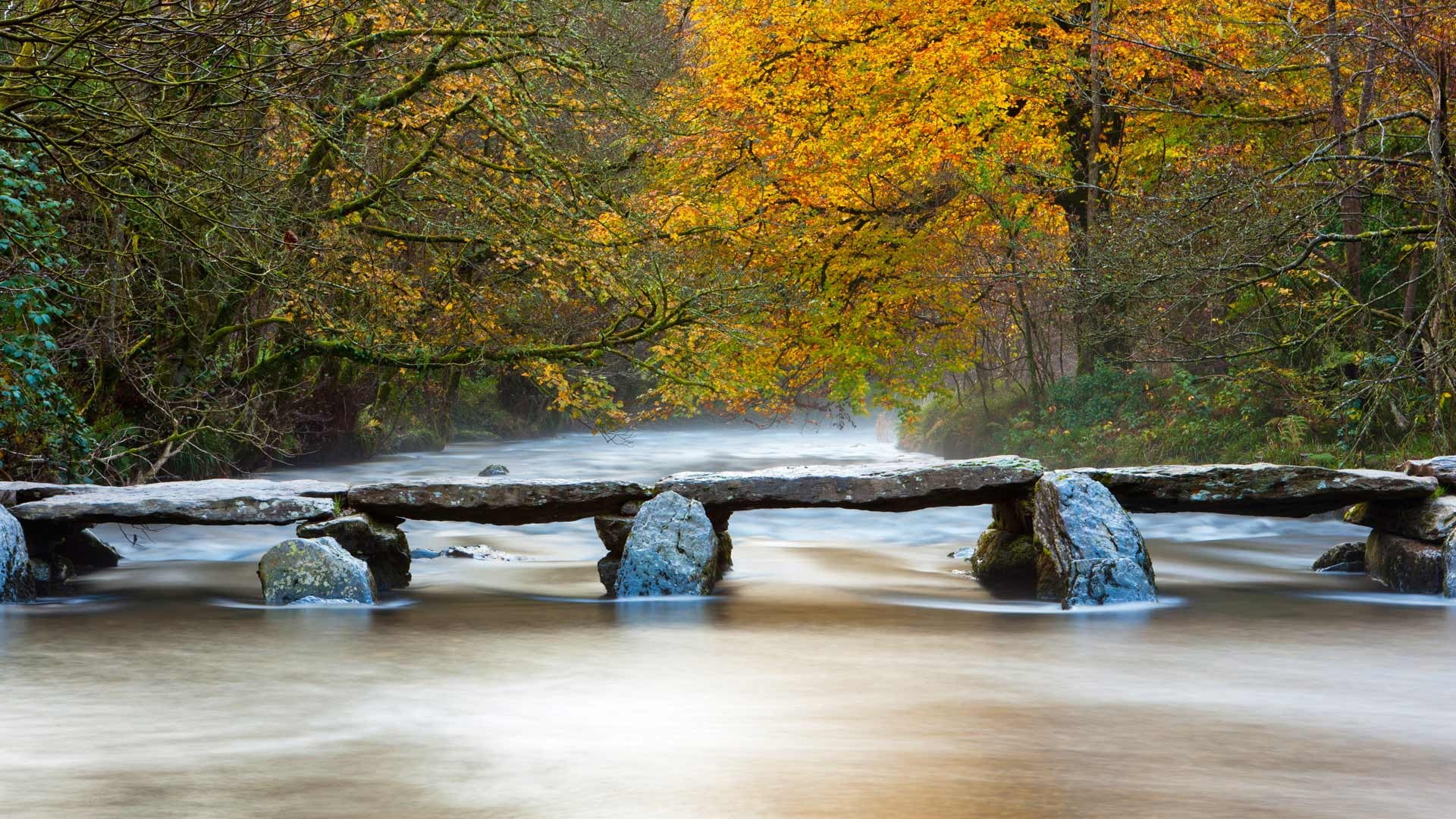 time lapse photography of river under footbridge between tall trees