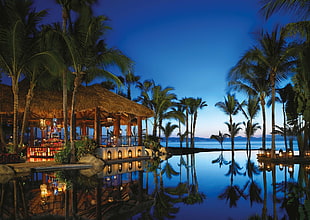 brown hut, evening, swimming pool, palm trees, resort