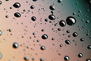 close-up photo of water droplets HD wallpaper