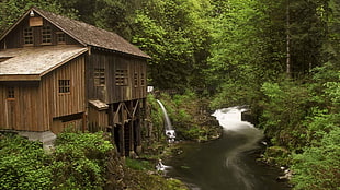 brown wooden house, nature, landscape, river, forest HD wallpaper