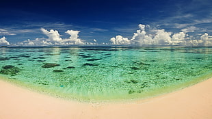 green body of water, coast, sea, beach, water