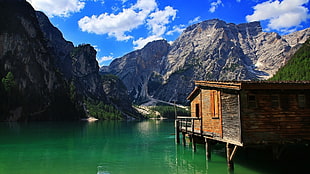 brown house, nature, mountains, landscape, forest