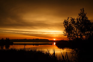 body of water and forest during sunset photography