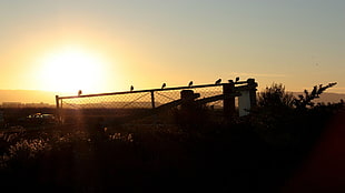 gray chain fence, nature, landscape