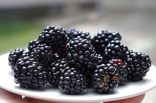 raspberries on white plate