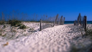 white sand, landscape, beach HD wallpaper