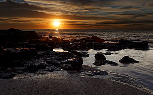 rocky seashore during dawn HD wallpaper