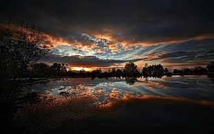 silhouette of trees, landscape, sunlight, nature, clouds