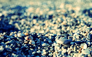 photography of stone in shallow focus lens HD wallpaper