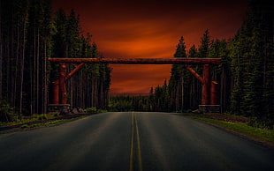 brown tree log, sky, road, trees, red sky HD wallpaper