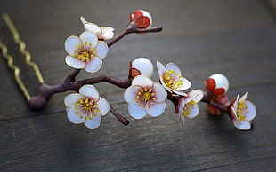 cherry blossom ceramic figurine, nature HD wallpaper