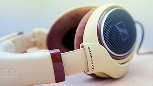 white-and-brown Sennheisen headphones, Sennheiser, earphones HD wallpaper