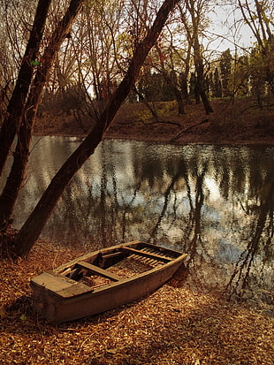 gray jon boat, nature, forest, water