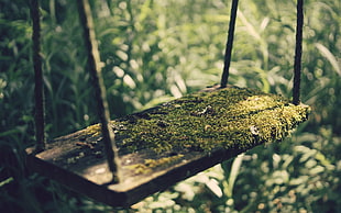 shallow focus photography of brown wooden swing HD wallpaper