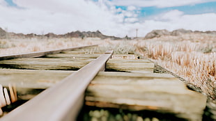 photo of brown wooden train rail near grasses HD wallpaper