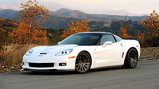 white sports car on gray roadway during daytime