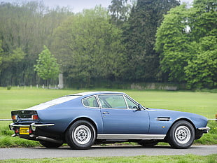 blue muscle car parked on grey pavement near grass