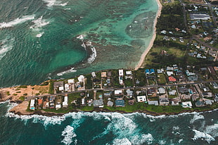 assorted-color concrete houses, water, nature, road, sea