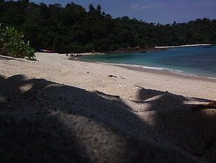 beige beach sand, beach HD wallpaper