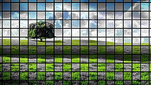 green leafed tree, nature, artwork, trees, landscape HD wallpaper
