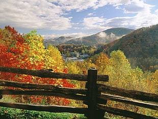 green and red leaved trees near mountains under blue and white cloudy sky during daytime