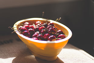 bowl of cherries, Cherries, Cherry, Berries