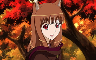 brown haired female anime character, Spice and Wolf HD wallpaper