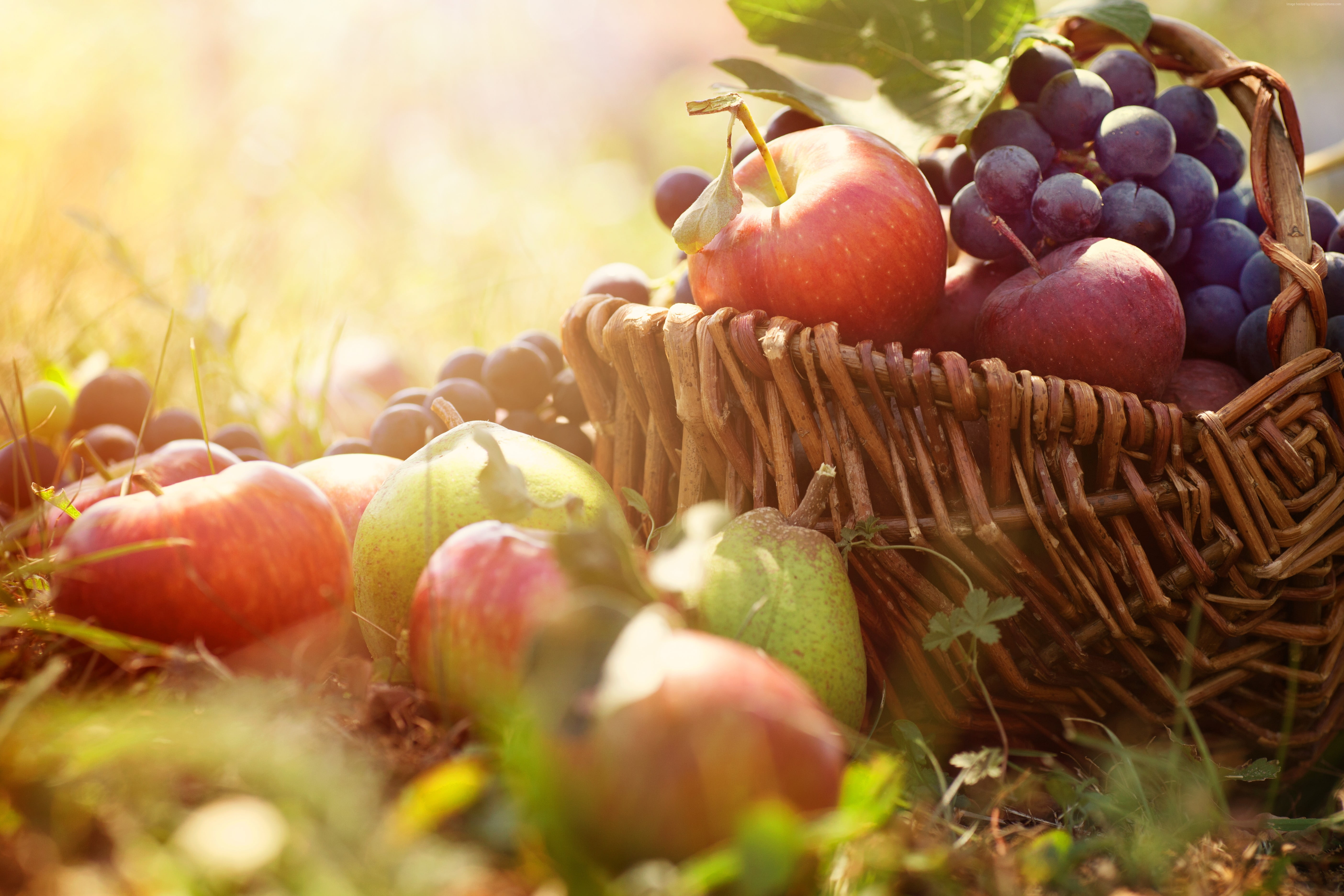 Урожай фруктов. Плоды осени. Август урожай. Фрукты на природе. Осенние фрукты и ягоды.