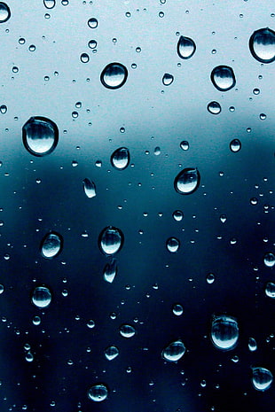 photograph of water droplets on clear glass panel HD wallpaper