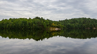 green leafed plant, landscape, reflection, lake, water