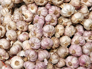 white and purple garlics
