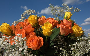 orange and yellow Rose flower arrangement HD wallpaper