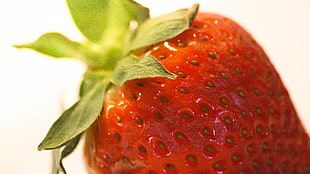 macro photography strawberry fruit HD wallpaper