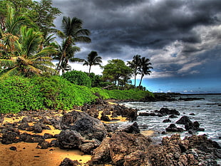 black stones near body of water