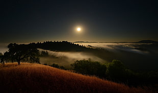 full moon and white clouds, Moon, moonlight, starry night, mist