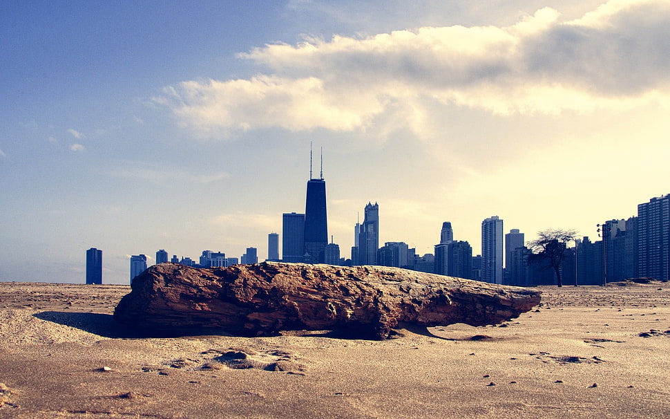 brown tree log, cityscape, skyscraper, desert, Chicago HD wallpaper