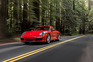 red coupe near green leaf trees in time-lapse photography