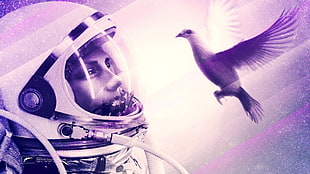 white pigeon and astronaut illustration, Axwell, Eternal Sunshine of the Spotless Mind, lights, birds HD wallpaper
