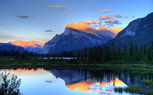 calm body of water surrounded by pine trees