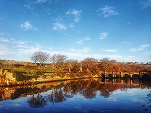 brown bare trees near bridge under clear blue sky, buncrana