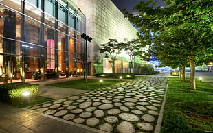 green trees near white building