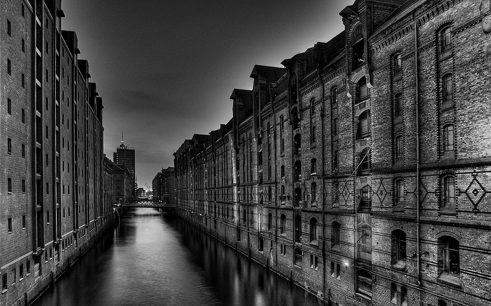 gray scale photography of buildings and river HD wallpaper