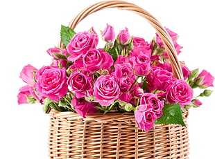 brown woven basket with pink flowers HD wallpaper