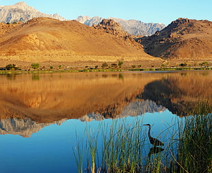 landscape photo of brown mountain near a lake