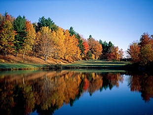 body of water surrounded by orange leaf trees